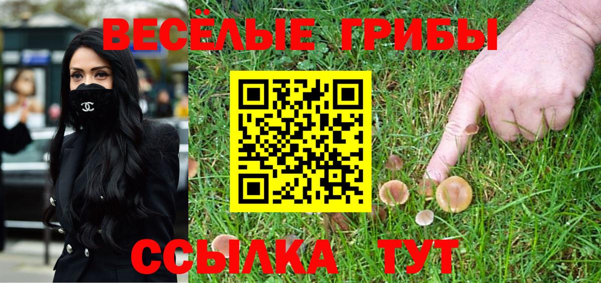 Псилоцибиновые грибы ЛСД Екатеринбург